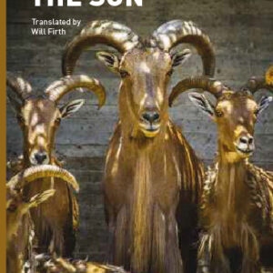 The Son