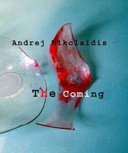 The Coming by Andrej Nikolaidis