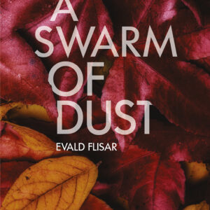 A Swarm of Dust